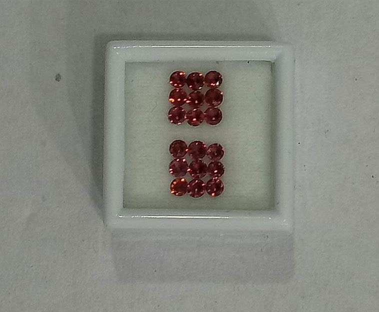 Garnets Ears studs.